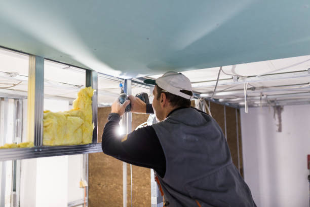 Best Residential Insulation Services  in Overlea, MD