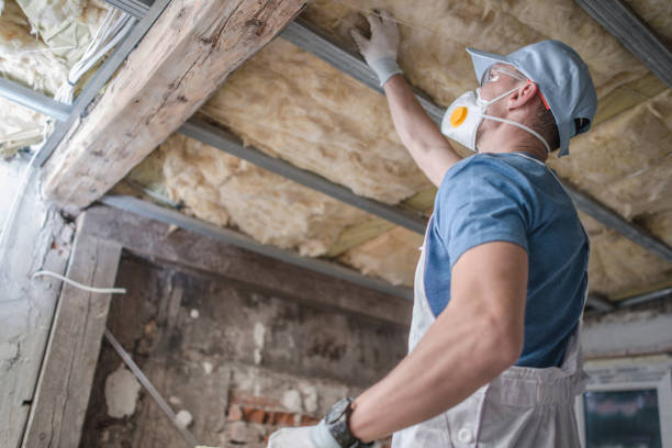 Best Crawl Space Insulation  in Overlea, MD