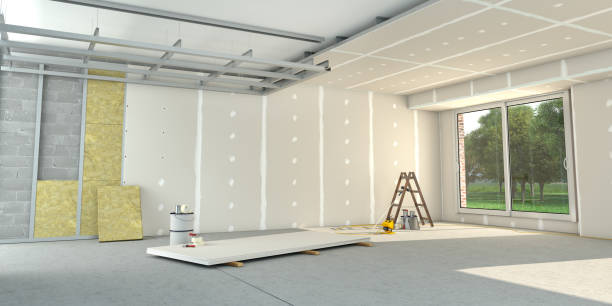 Best Insulation Removal  in Overlea, MD