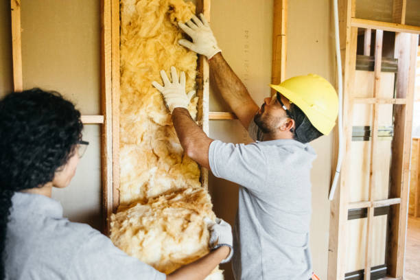 Best Best Insulation Companies  in Overlea, MD