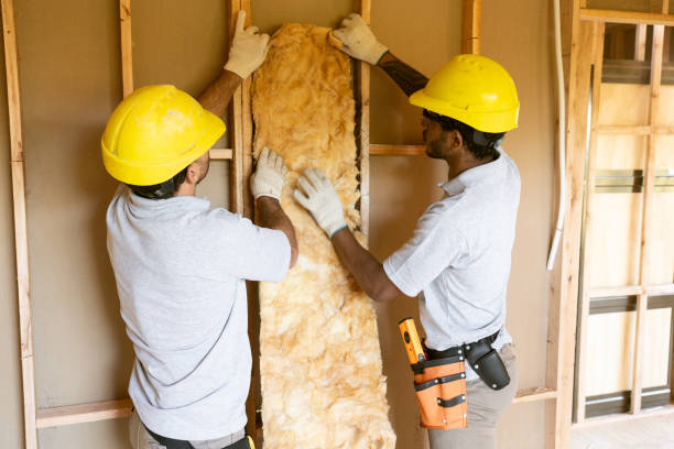 Insulation Repair Services in Overlea, MD