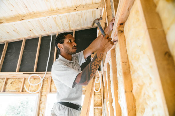 Best Garage Insulation Installation  in Overlea, MD
