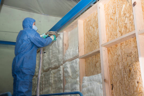 Insulation Contractors for Homes in Overlea, MD